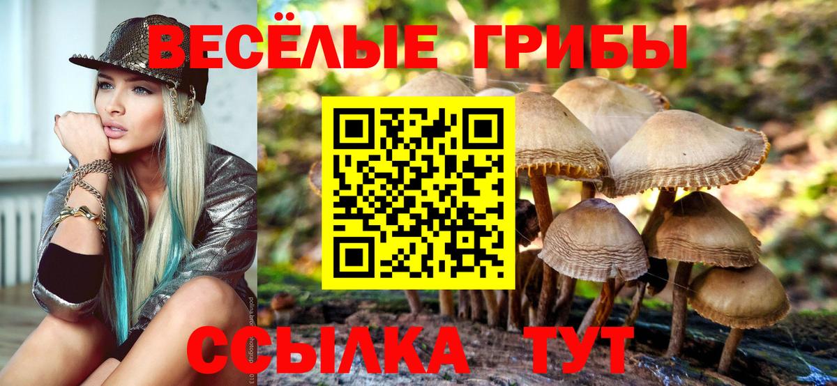 Киселёвск  Галлюциногенные грибы MAGIC MUSHROOMS  Псилоцибиновые грибы ЛСД  Вход с VPN 